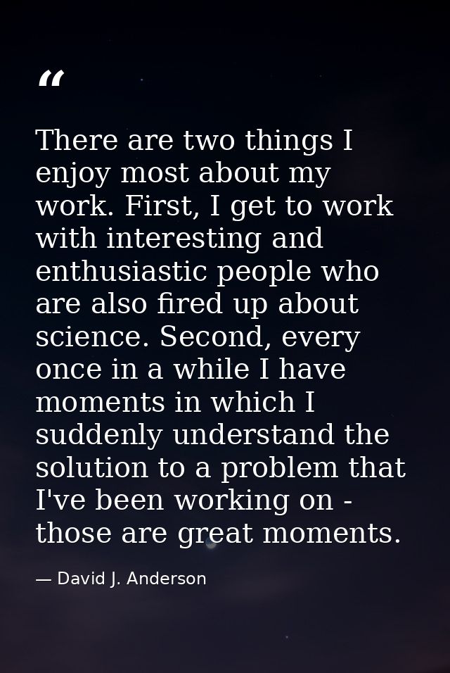 There are two things I enjoy most about my work. First, I get to work with interesting and enthusiastic people who are a — David J. Anderson
