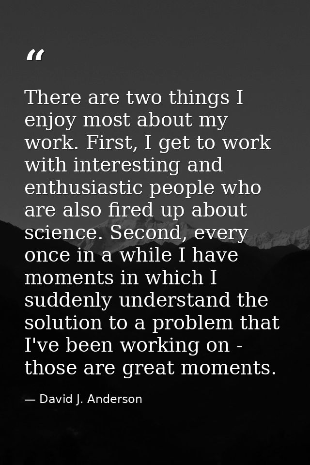 There are two things I enjoy most about my work. First, I get to work with interesting and enthusiastic people who are a — David J. Anderson