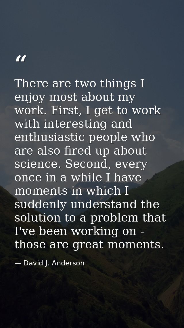 There are two things I enjoy most about my work. First, I get to work with interesting and enthusiastic people who are a — David J. Anderson