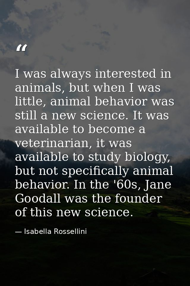 I was always interested in animals, but when I was little, animal behavior was still a new science. It was available to  — Isabella Rossellini