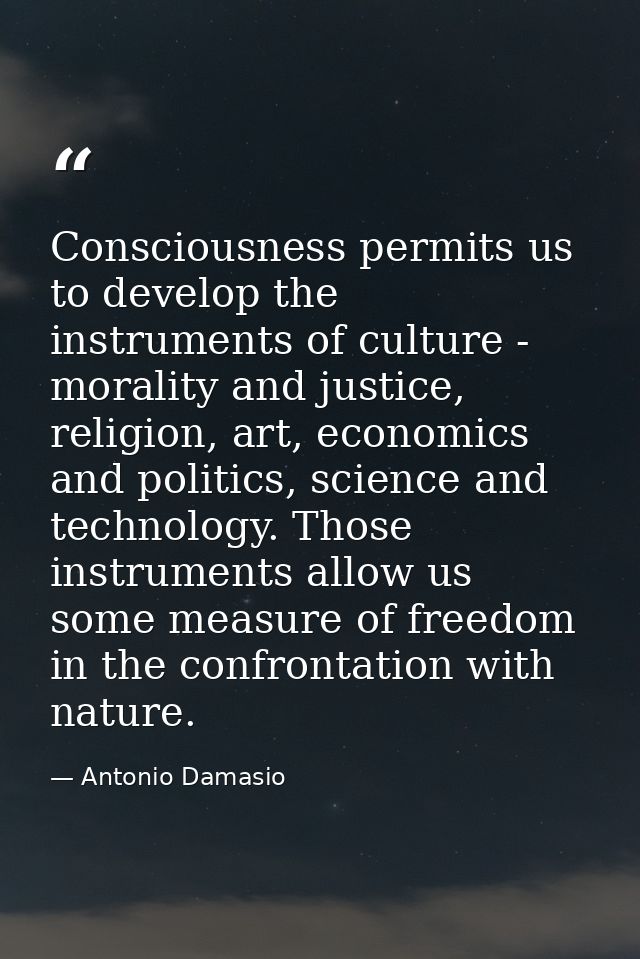 Consciousness permits us to develop the instruments of culture - morality and justice, religion, art, economics and poli — Antonio Damasio