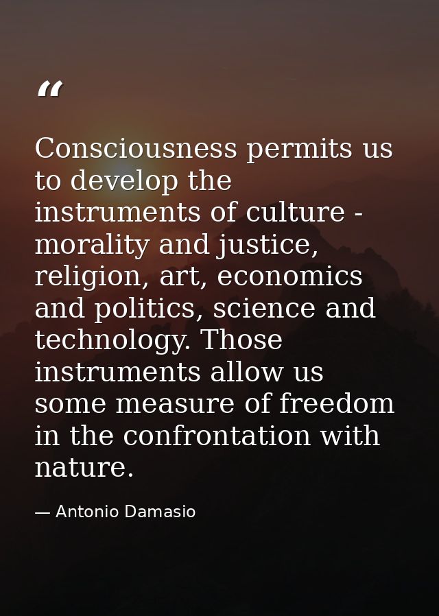 Consciousness permits us to develop the instruments of culture - morality and justice, religion, art, economics and poli — Antonio Damasio