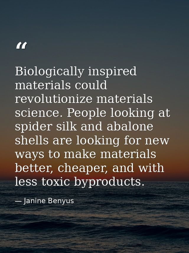 Biologically inspired materials could revolutionize materials science. People looking at spider silk and abalone shells  — Janine Benyus