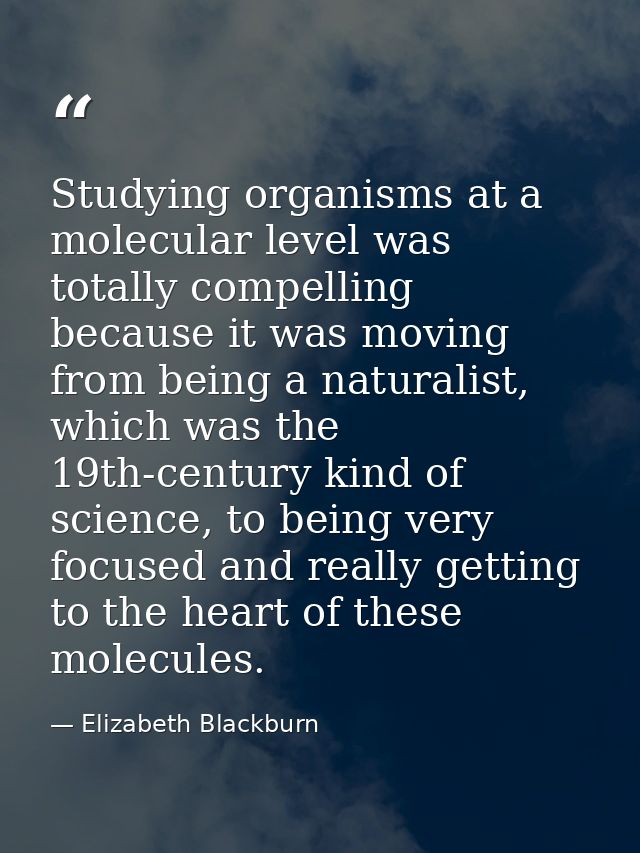 Studying organisms at a molecular level was totally compelling because it was moving from being a naturalist, which was  — Elizabeth Blackburn