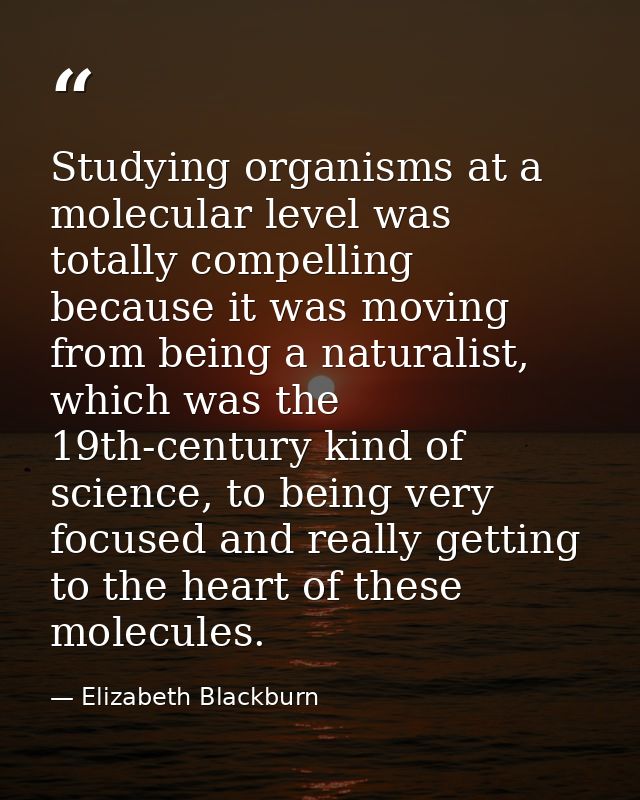 Studying organisms at a molecular level was totally compelling because it was moving from being a naturalist, which was  — Elizabeth Blackburn