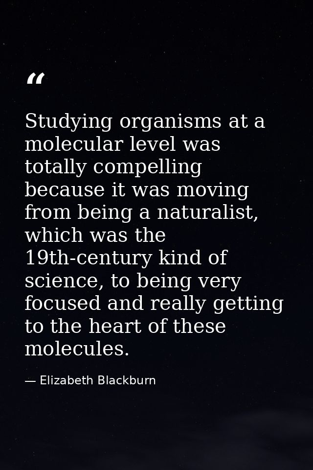 Studying organisms at a molecular level was totally compelling because it was moving from being a naturalist, which was  — Elizabeth Blackburn