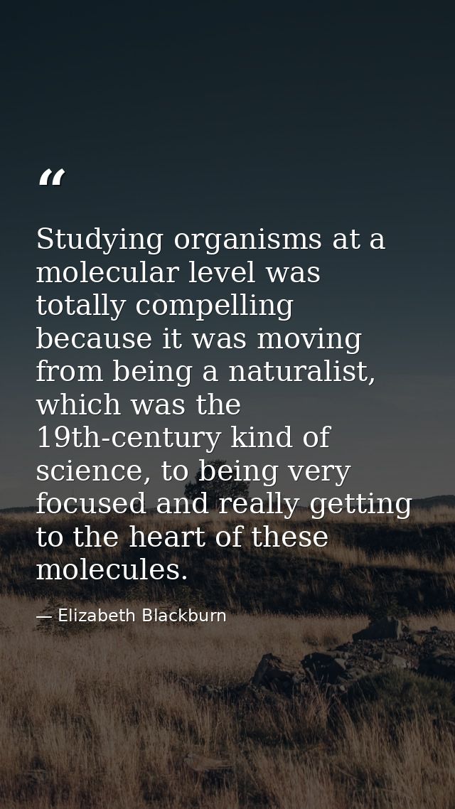 Studying organisms at a molecular level was totally compelling because it was moving from being a naturalist, which was  — Elizabeth Blackburn