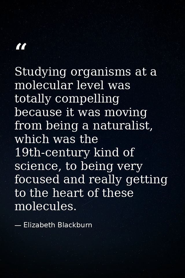 Studying organisms at a molecular level was totally compelling because it was moving from being a naturalist, which was  — Elizabeth Blackburn