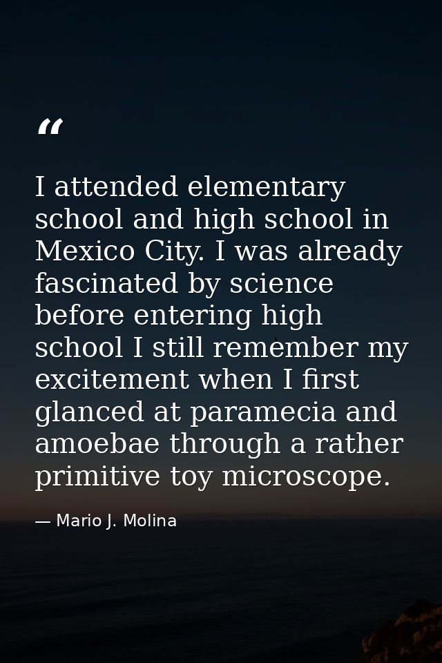 I attended elementary school and high school in Mexico City. I was already fascinated by science before entering high sc — Mario J. Molina