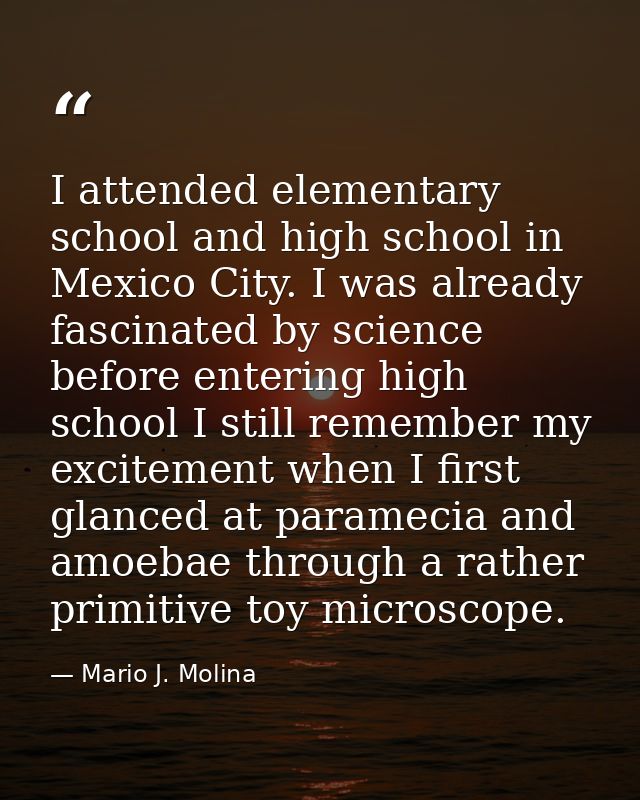 I attended elementary school and high school in Mexico City. I was already fascinated by science before entering high sc — Mario J. Molina