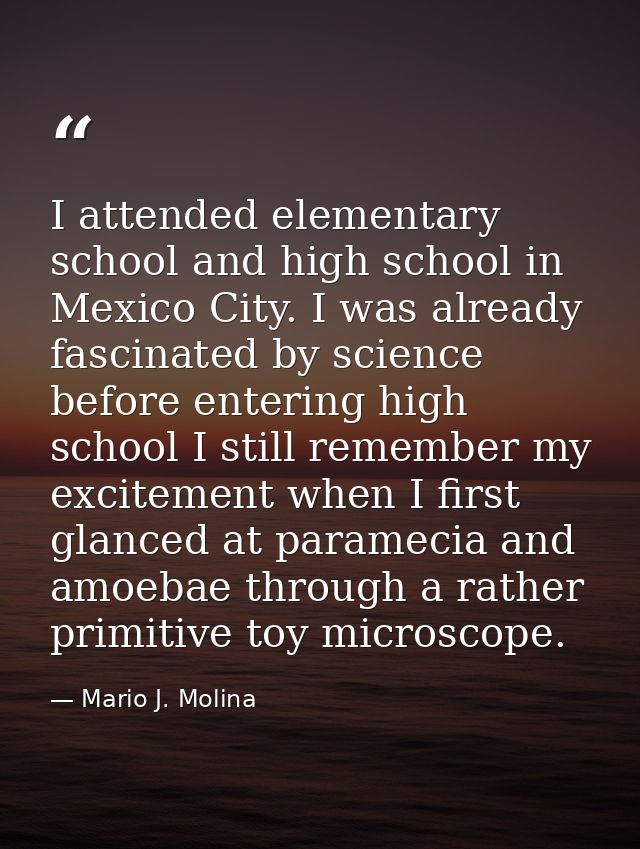 I attended elementary school and high school in Mexico City. I was already fascinated by science before entering high sc — Mario J. Molina