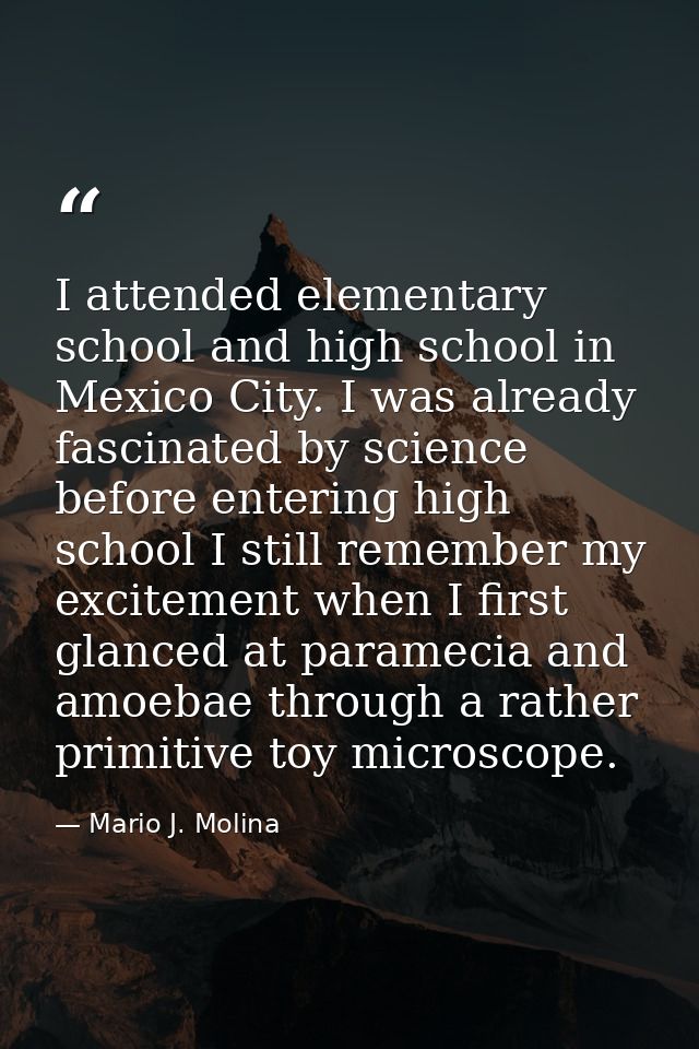 I attended elementary school and high school in Mexico City. I was already fascinated by science before entering high sc — Mario J. Molina