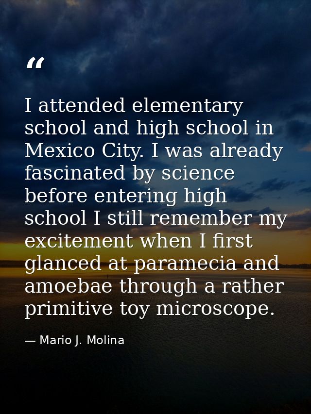 I attended elementary school and high school in Mexico City. I was already fascinated by science before entering high sc — Mario J. Molina