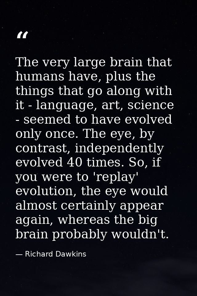 The very large brain that humans have, plus the things that go along with it - language, art, science - seemed to have e — Richard Dawkins
