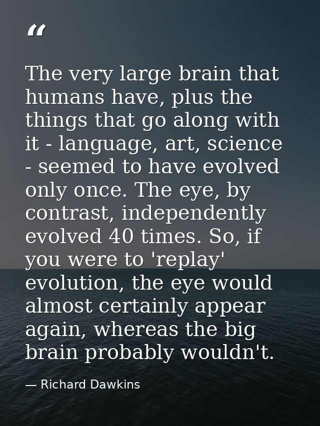 The very large brain that humans have, plus the things that go along with it - language, art, science - seemed to have e — Richard Dawkins