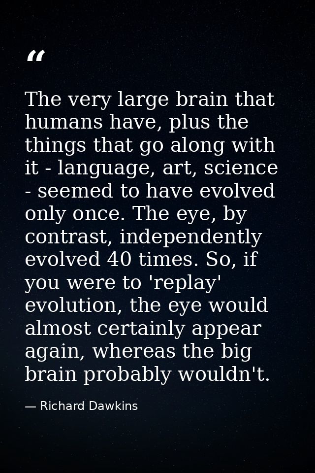 The very large brain that humans have, plus the things that go along with it - language, art, science - seemed to have e — Richard Dawkins