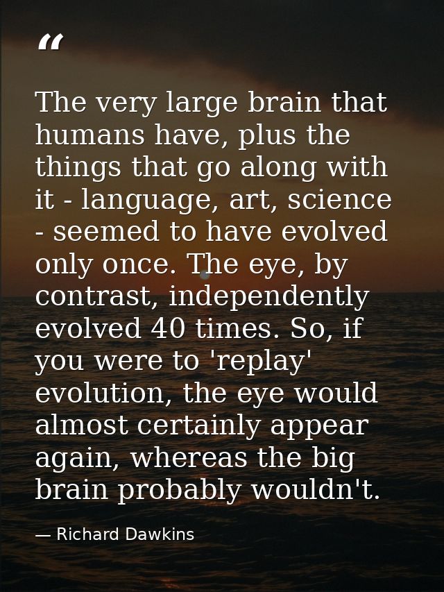 The very large brain that humans have, plus the things that go along with it - language, art, science - seemed to have e — Richard Dawkins