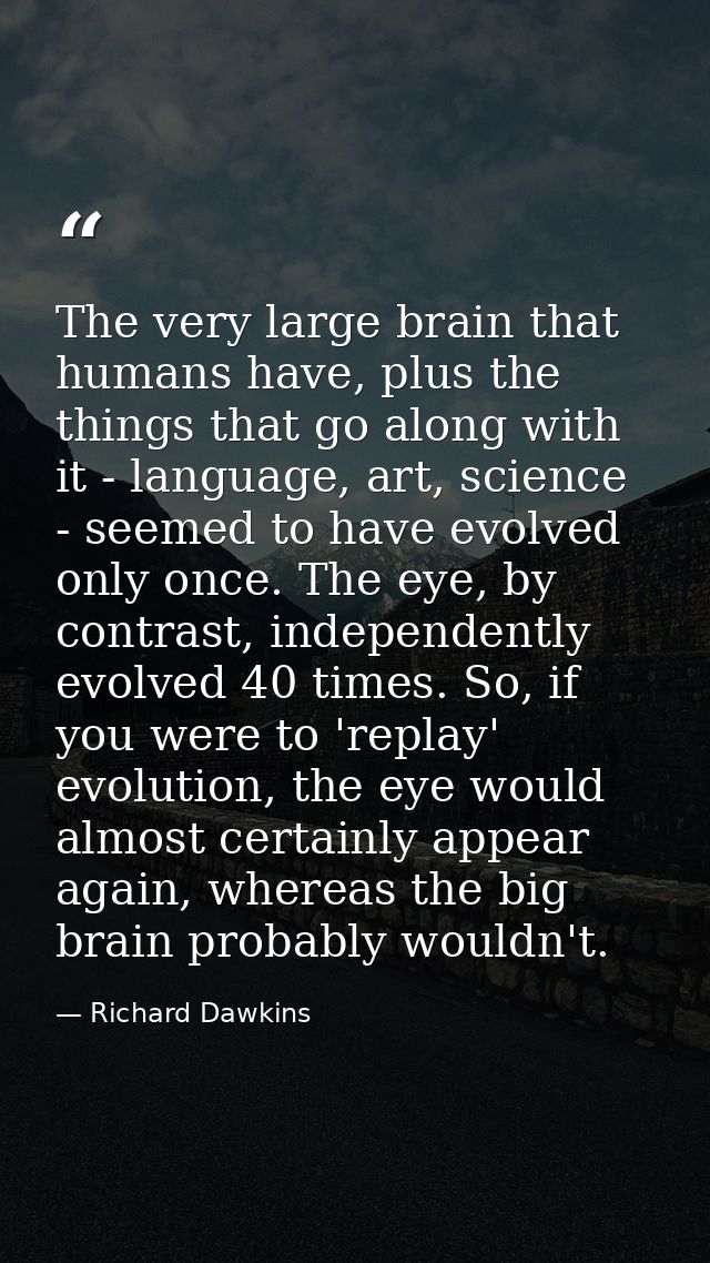 The very large brain that humans have, plus the things that go along with it - language, art, science - seemed to have e — Richard Dawkins