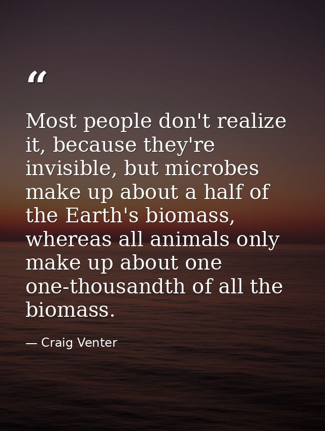 Most people don't realize it, because they're invisible, but microbes make up about a half of the Earth's biomass, where — Craig Venter