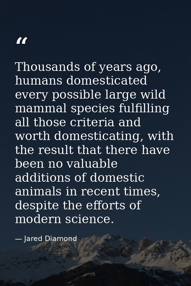 Thousands of years ago, humans domesticated every possible large wild mammal species fulfilling all those criteria and w — Jared Diamond