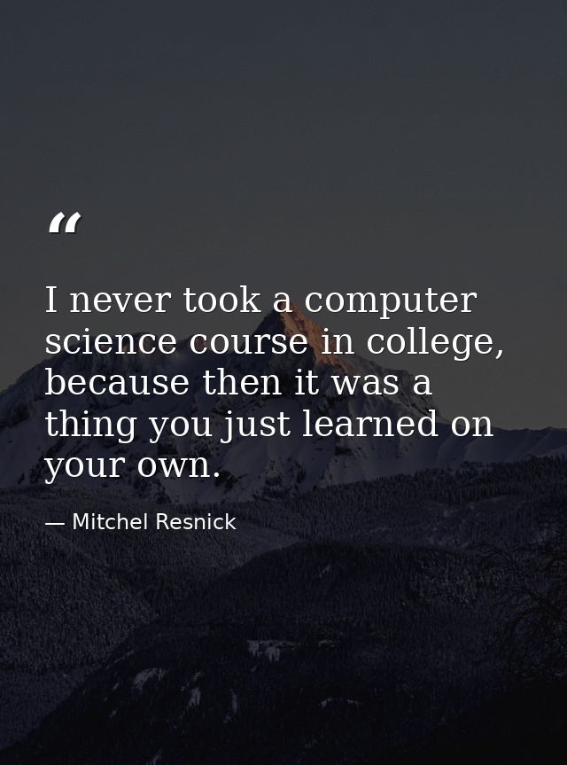 I never took a computer science course in college, because then it was a thing you just learned on your own. — Mitchel Resnick