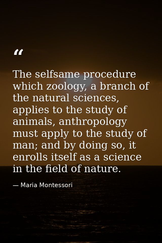 The selfsame procedure which zoology, a branch of the natural sciences, applies to the study of animals, anthropology mu — Maria Montessori