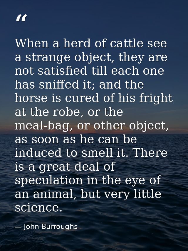 When a herd of cattle see a strange object, they are not satisfied till each one has sniffed it; and the horse is cured  — John Burroughs