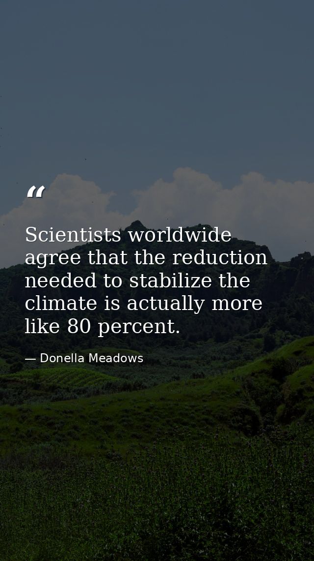 Scientists worldwide agree that the reduction needed to stabilize the climate is actually more like 80 percent. — Donella Meadows