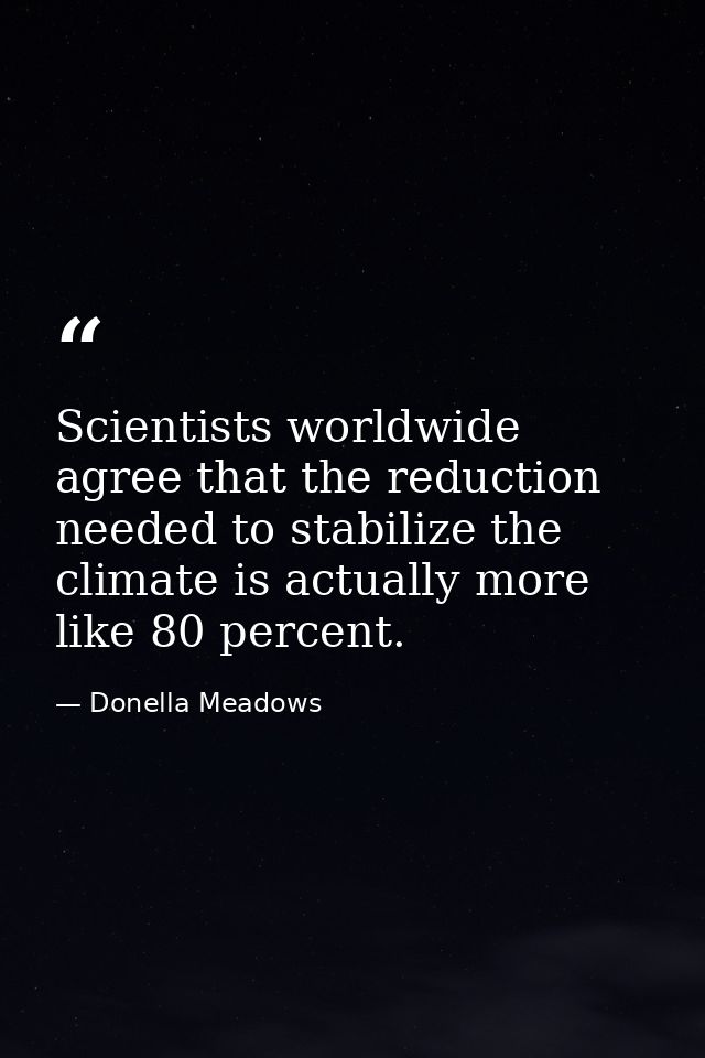 Scientists worldwide agree that the reduction needed to stabilize the climate is actually more like 80 percent. — Donella Meadows