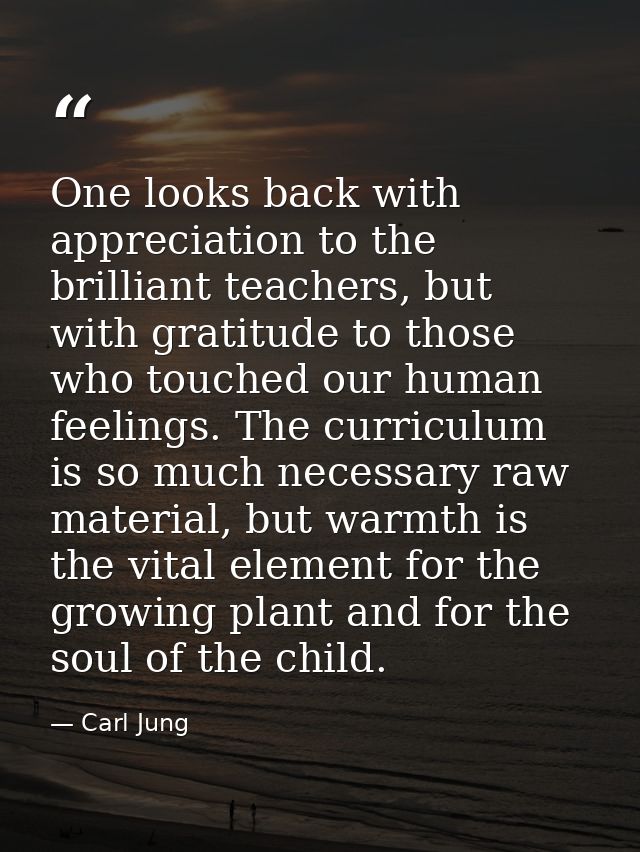 One looks back with appreciation to the brilliant teachers, but with gratitude to those who touched our human feelings.  — Carl Jung