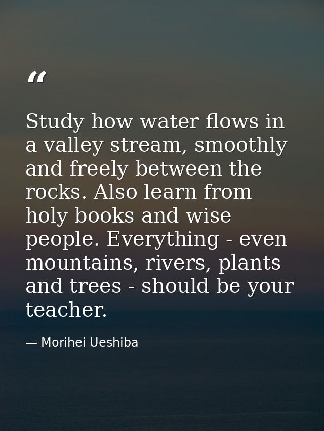 Study how water flows in a valley stream, smoothly and freely between the rocks. Also learn from holy books and wise peo — Morihei Ueshiba