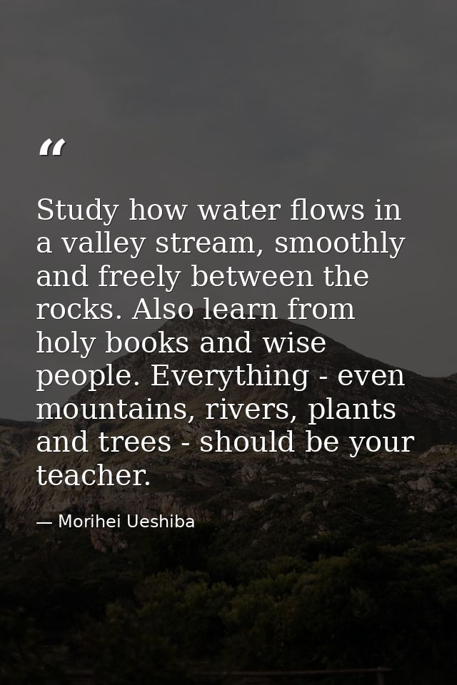 Study how water flows in a valley stream, smoothly and freely between the rocks. Also learn from holy books and wise peo — Morihei Ueshiba