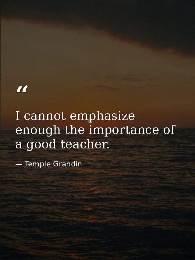 I cannot emphasize enough the importance of a good teacher. — Temple Grandin