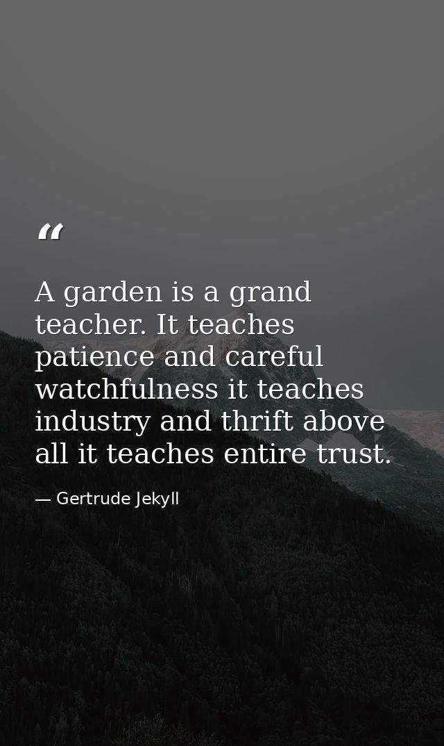 A garden is a grand teacher. It teaches patience and careful watchfulness it teaches industry and thrift above all it te — Gertrude Jekyll