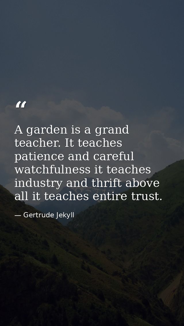 A garden is a grand teacher. It teaches patience and careful watchfulness it teaches industry and thrift above all it te — Gertrude Jekyll