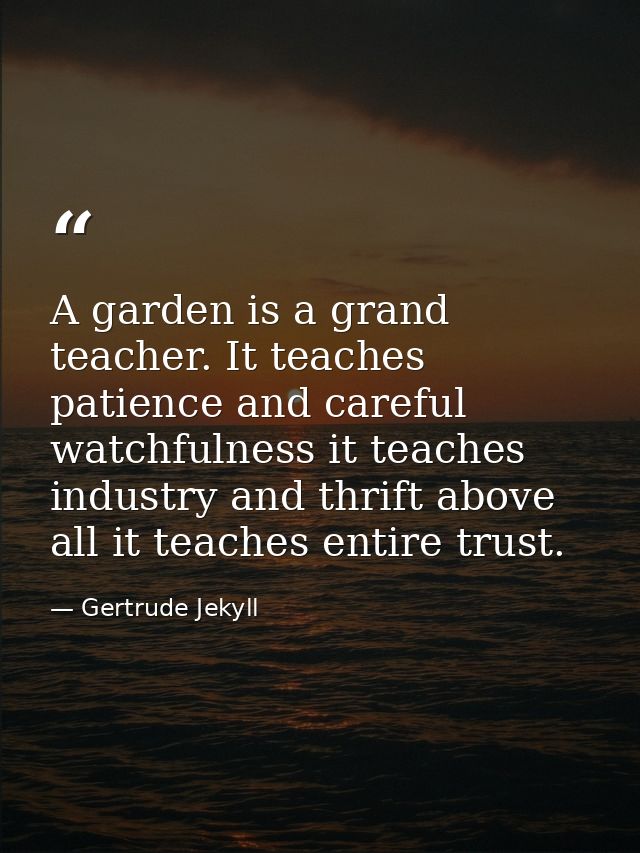 A garden is a grand teacher. It teaches patience and careful watchfulness it teaches industry and thrift above all it te — Gertrude Jekyll