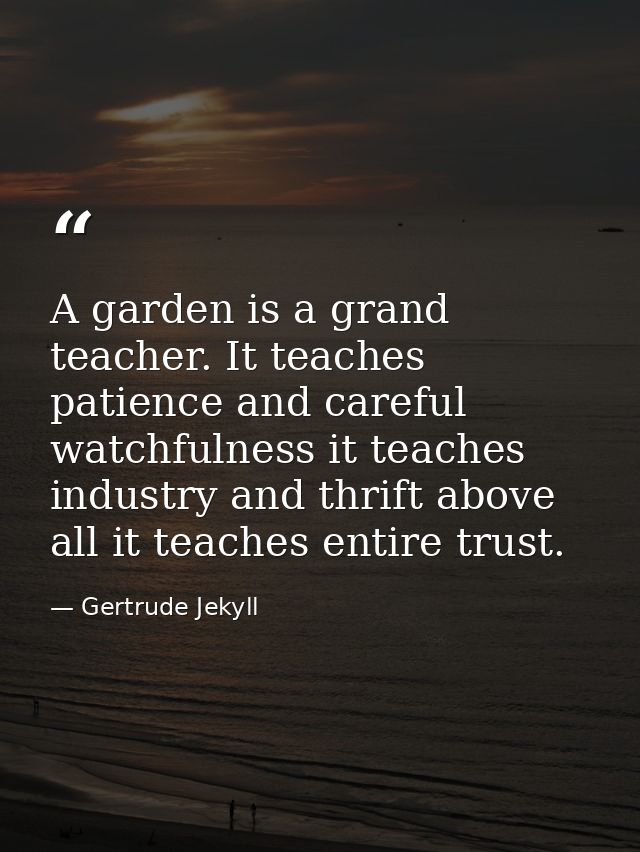 A garden is a grand teacher. It teaches patience and careful watchfulness it teaches industry and thrift above all it te — Gertrude Jekyll