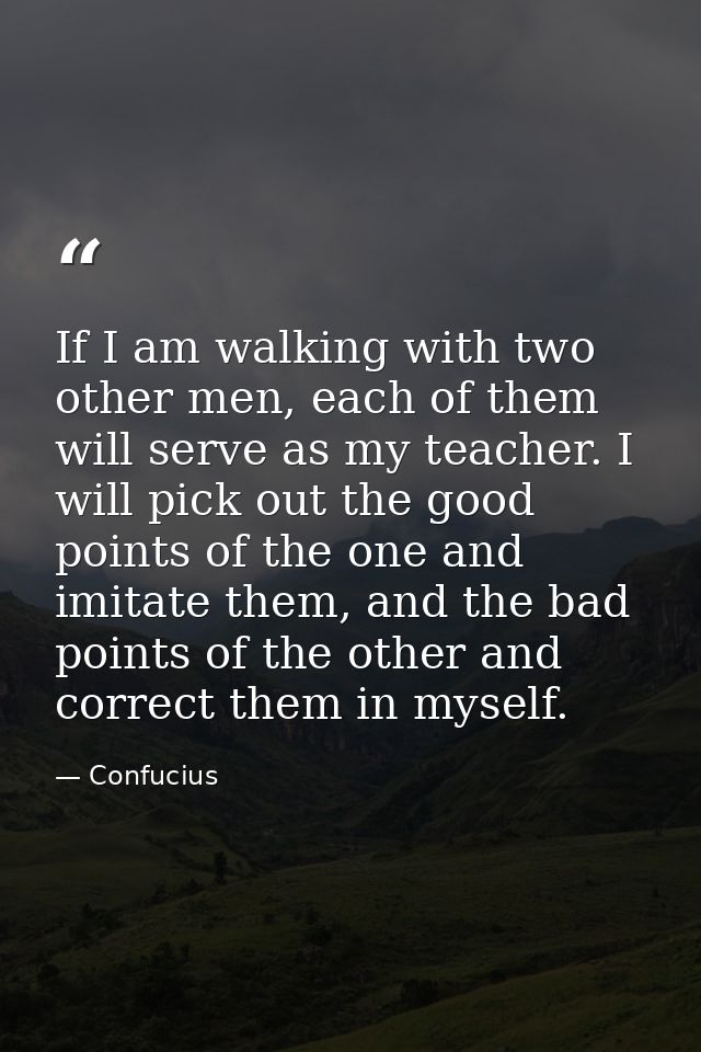 If I am walking with two other men, each of them will serve as my teacher. I will pick out the good points of the one an — Confucius