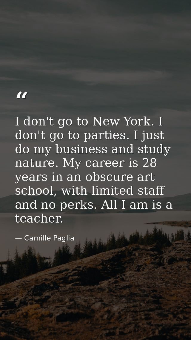I don't go to New York. I don't go to parties. I just do my business and study nature. My career is 28 years in an obscu — Camille Paglia