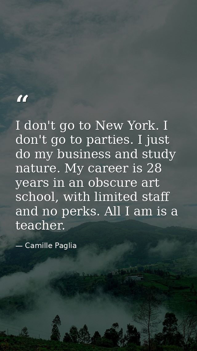 I don't go to New York. I don't go to parties. I just do my business and study nature. My career is 28 years in an obscu — Camille Paglia
