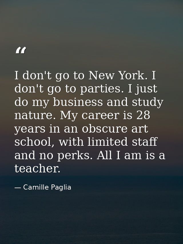 I don't go to New York. I don't go to parties. I just do my business and study nature. My career is 28 years in an obscu — Camille Paglia