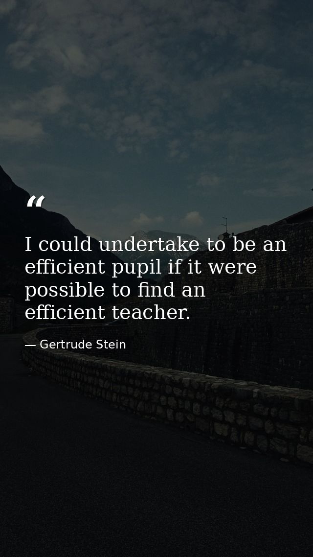 I could undertake to be an efficient pupil if it were possible to find an efficient teacher. — Gertrude Stein