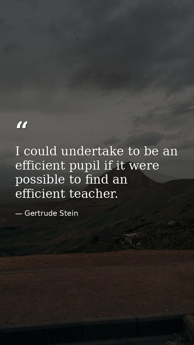 I could undertake to be an efficient pupil if it were possible to find an efficient teacher. — Gertrude Stein