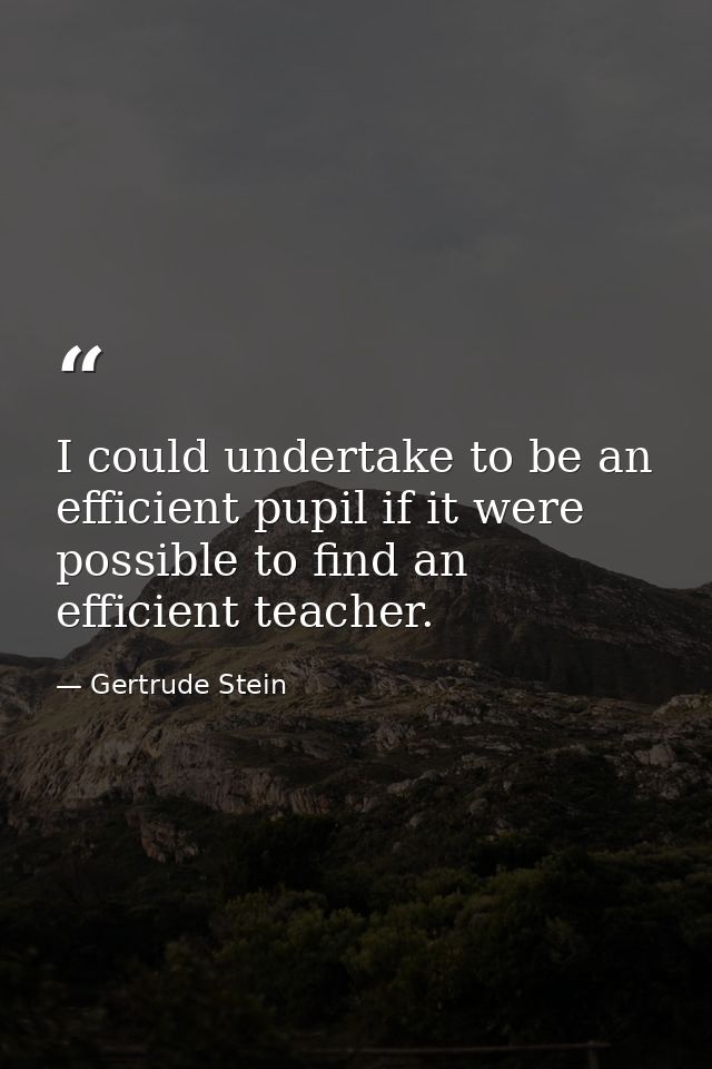 I could undertake to be an efficient pupil if it were possible to find an efficient teacher. — Gertrude Stein