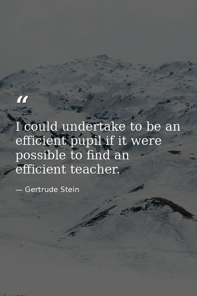 I could undertake to be an efficient pupil if it were possible to find an efficient teacher. — Gertrude Stein