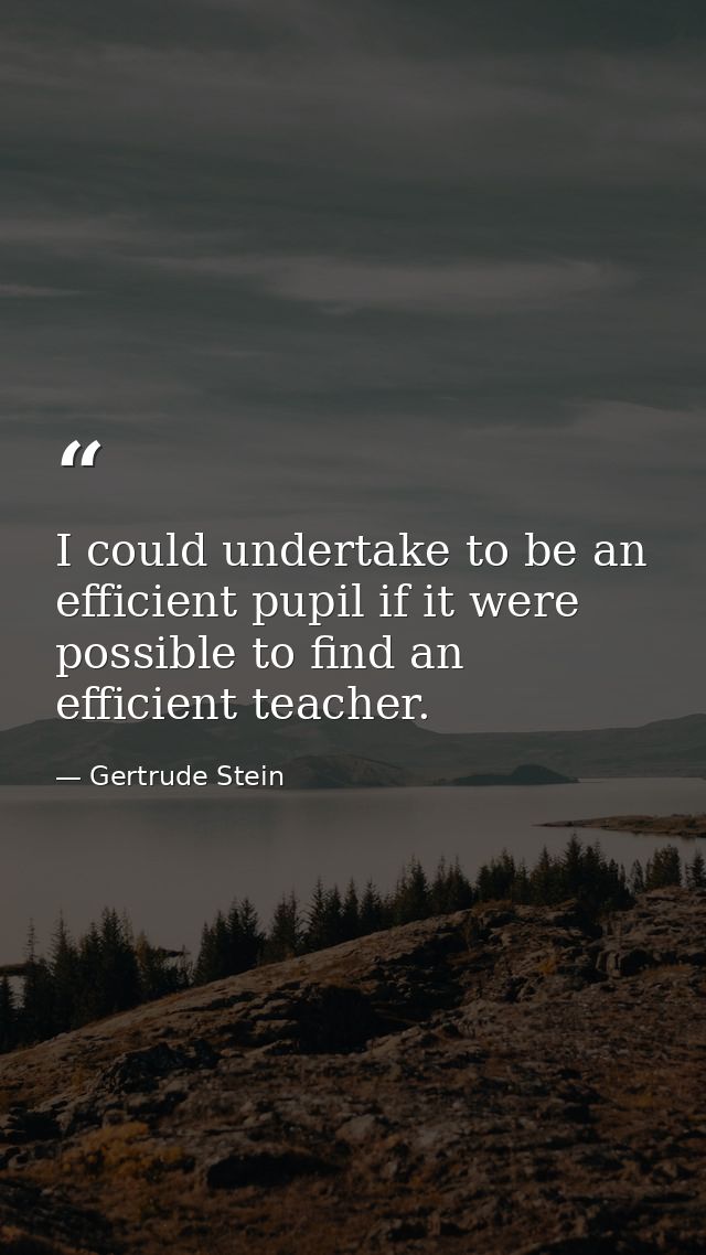 I could undertake to be an efficient pupil if it were possible to find an efficient teacher. — Gertrude Stein