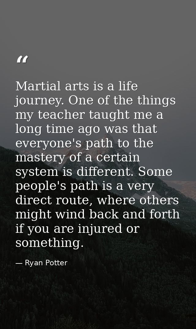 Martial arts is a life journey. One of the things my teacher taught me a long time ago was that everyone's path to the m — Ryan Potter