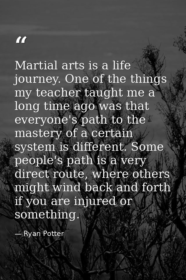Martial arts is a life journey. One of the things my teacher taught me a long time ago was that everyone's path to the m — Ryan Potter