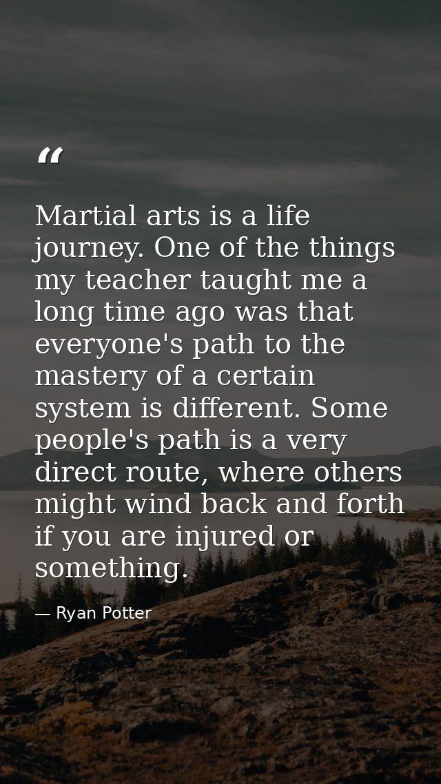 Martial arts is a life journey. One of the things my teacher taught me a long time ago was that everyone's path to the m — Ryan Potter