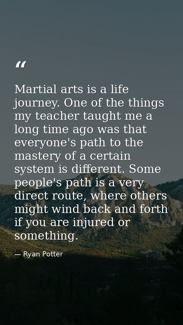 Martial arts is a life journey. One of the things my teacher taught me a long time ago was that everyone's path to the m — Ryan Potter